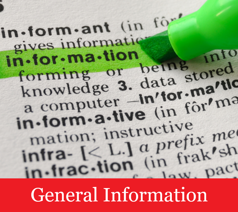 Information highlighted in dictionary